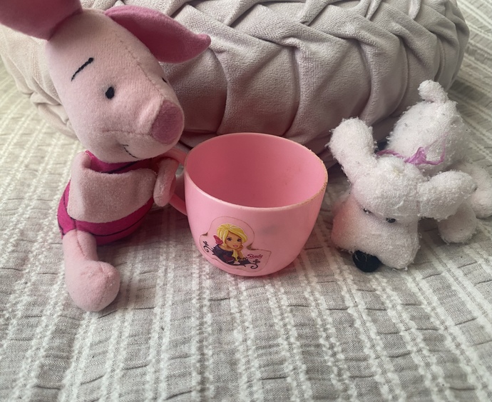 What toy did you play the most as a kid?