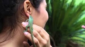 Do you know anyone that would wear a lizard for an earring?