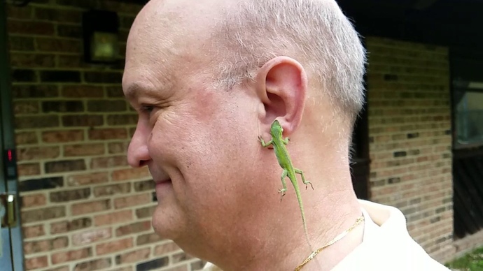 Do you know anyone that would wear a lizard for an earring?