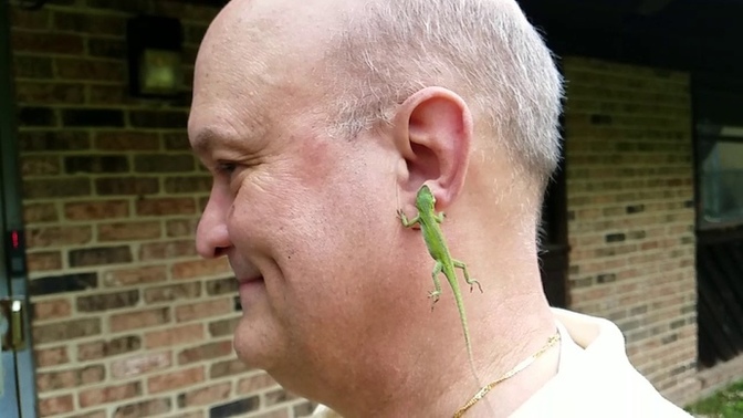 Do you know anyone that would wear a lizard for an earring?