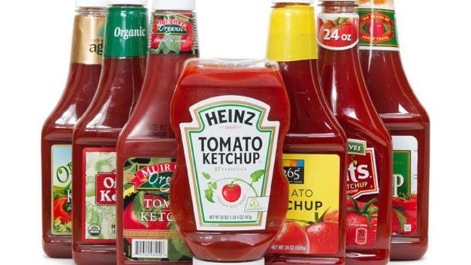 If you HAD to choose, what food goes the BEST with Ketchup?