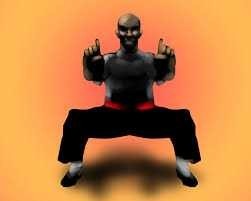 What martial art would you like to learn?