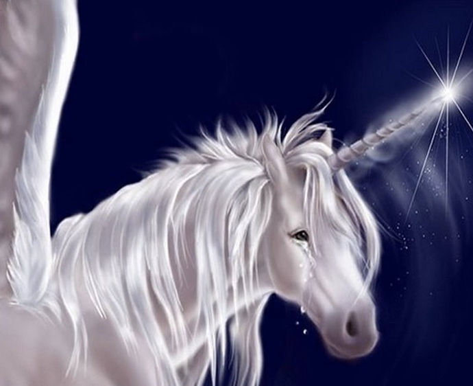 Which of these magical pets would you like to own?