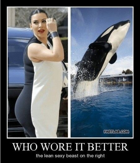 Does anybody miss the days of whaling🐋?