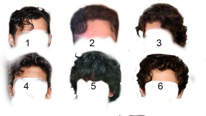 Which Hairstyle is the most attractive?