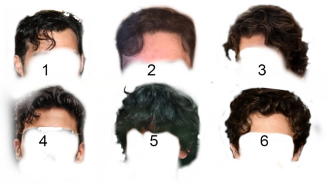 Which Hairstyle is the most attractive?