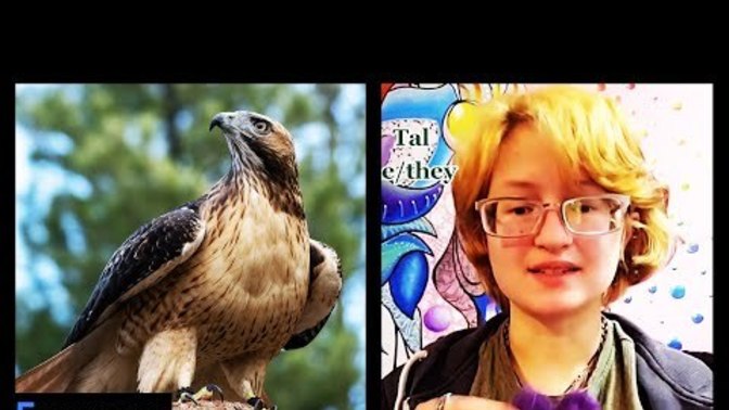 I predicted this was coming, and I was right. Why can't people just accept that I'm a red-tailed hawk?