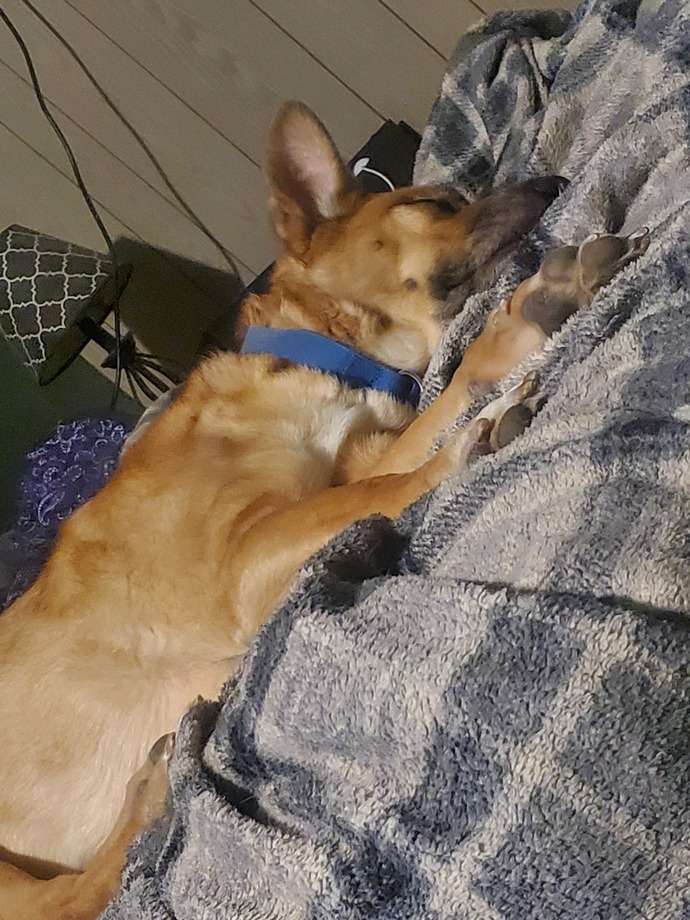 Guess what my dogs name is?