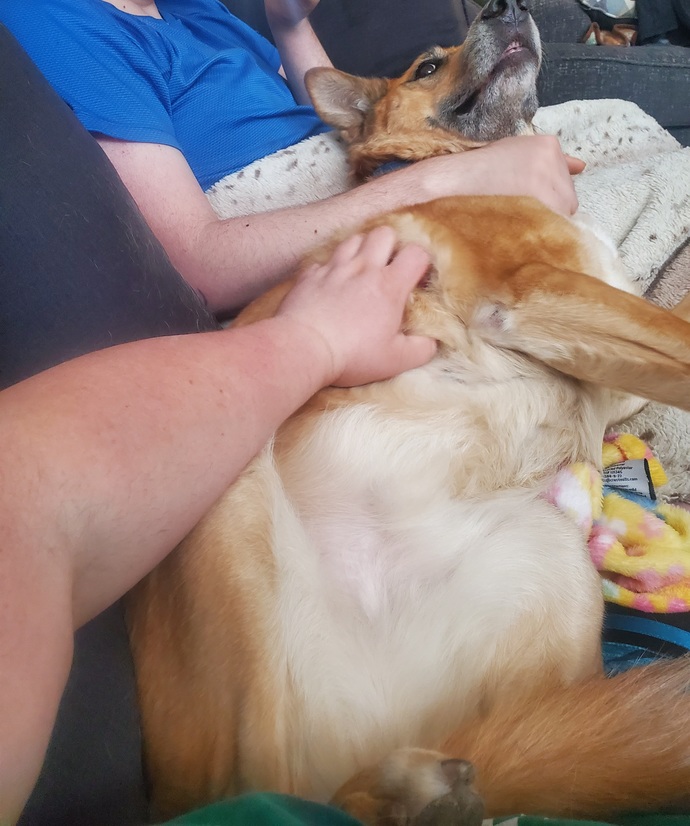 Guess what my dogs name is?