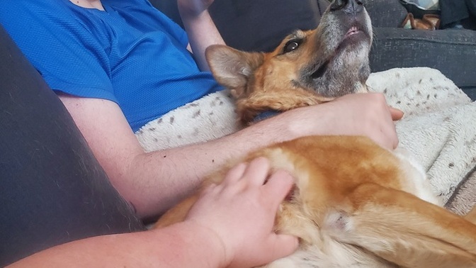 Guess what my dog's name is?