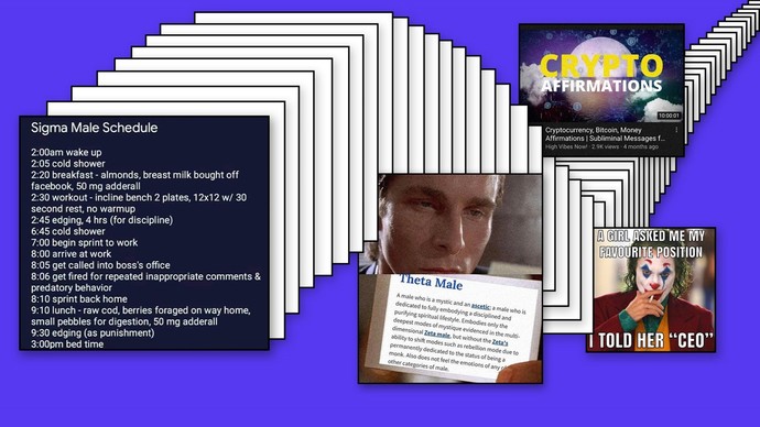 Girls, what do you think about the rise of the sigma men movement in social networks?