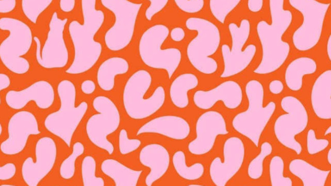 Can you find the cat in 6 seconds?