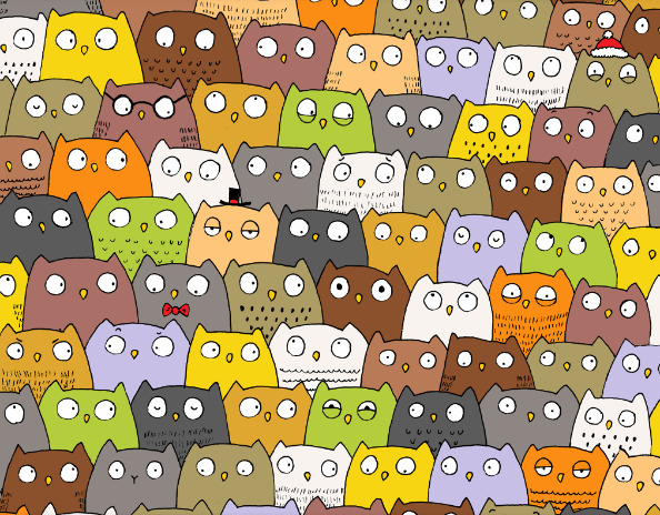 Can you spot the hidden cat amongst the owls?