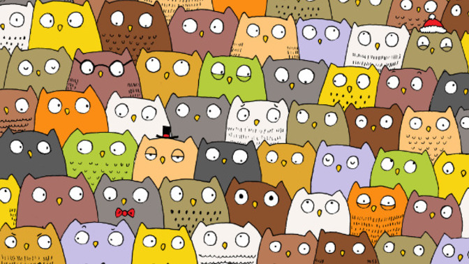 Can you spot the hidden cat amongst the owls?