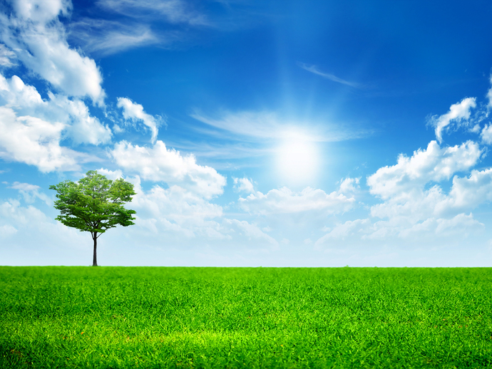 do you feel happy seeing a day like this?