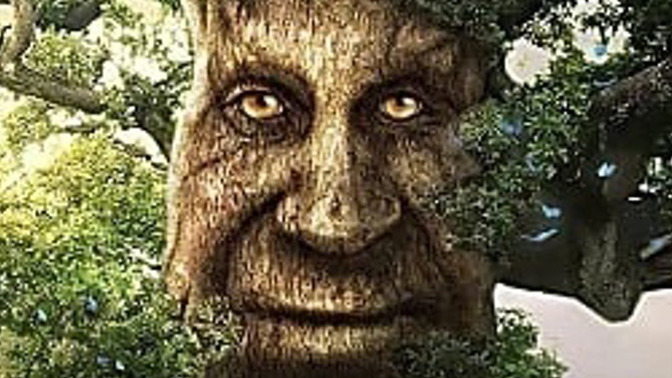 What wise sayings would you imagine this tree with a face offers to whomever happens to be listening?