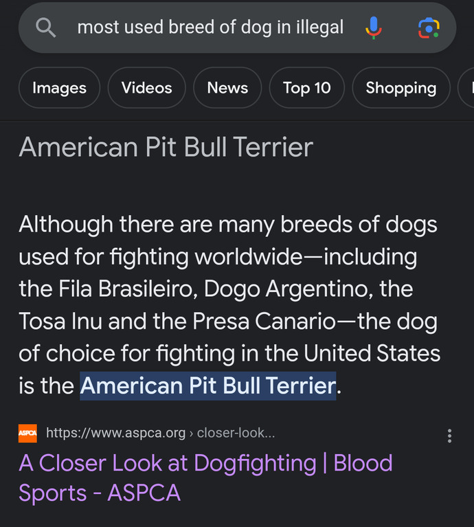 Why do so many people defend pitbulls despite being responsible for most dog attacks?
