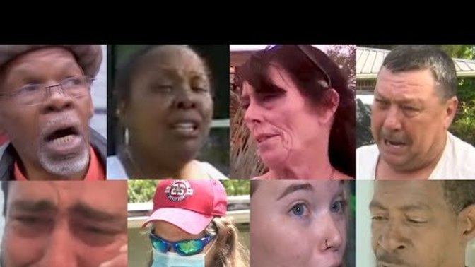 Why do so many people defend pitbulls despite being responsible for most dog attacks?