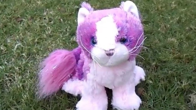 Did anyone else here grow up with Webkinz?