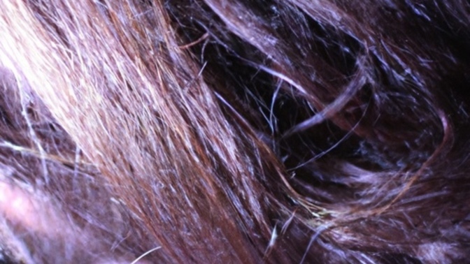 How is your hairs health?