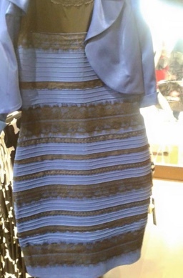 What color is this dress? Apparently, we don’t all see it as the same color?