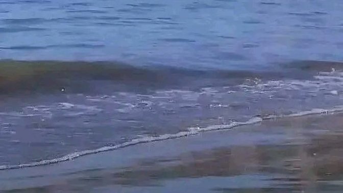 When was last time you gone to beach 🏖️?