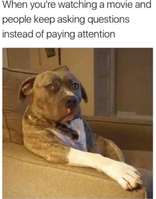 Shut up!