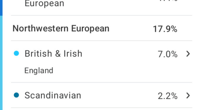 I'm not indian so I don't understand how these other countries I'm connected make me look Indian?