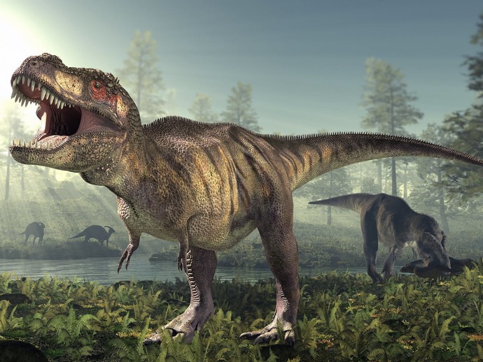 What would you do if Donald trump accused you causing the extinction of the dinosaurs?