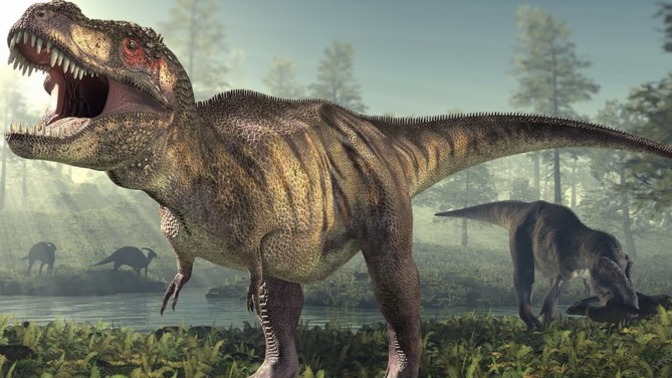 What would you do if Donald trump accused you causing the extinction of the dinosaurs?