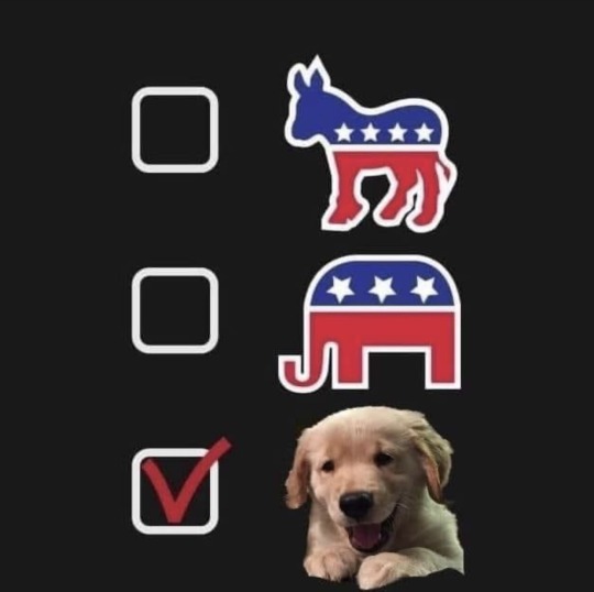 Trump or biden for the next election?