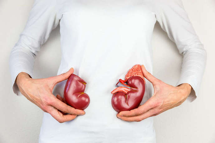 Would you sell your kidney for 2 million dollars?