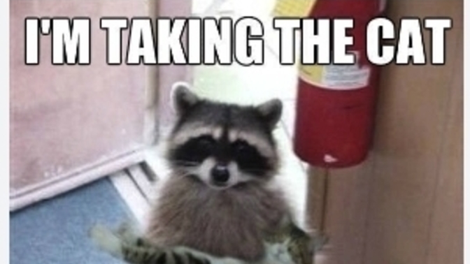 Imagine you live on the 8th floor and someone tried to break in using a latter to the balcony, what would you do?
