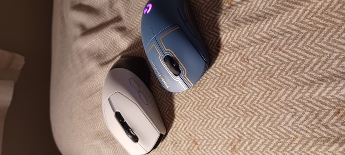 Theres a guy on here who thinks both my wireless mice are shit that true?