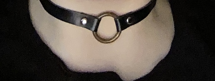 Which of these two chokers looks better on me?