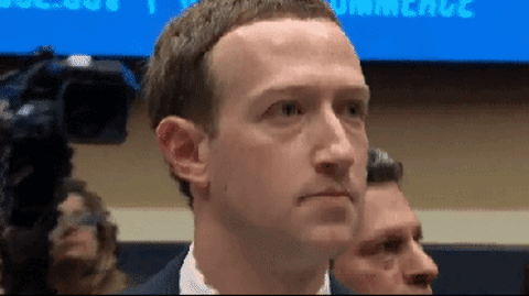 Your thoughts? Elon Musk and Mark Zuckerberg apparently have agreed to fight each other?