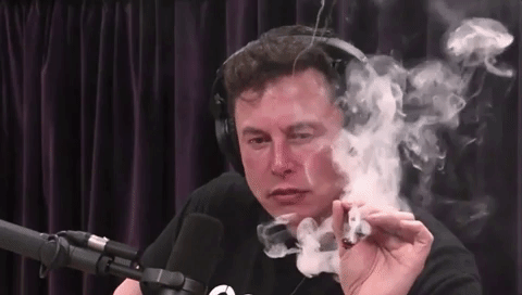 Your thoughts? Elon Musk and Mark Zuckerberg apparently have agreed to fight each other?