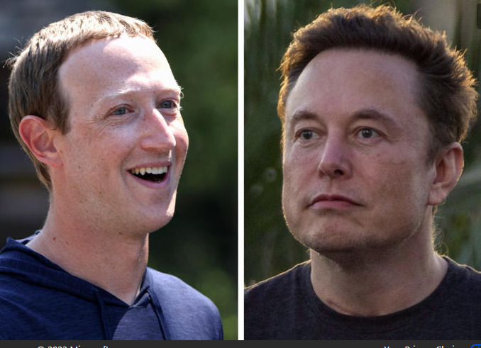 Your thoughts? Elon Musk and Mark Zuckerberg apparently have agreed to fight each other?