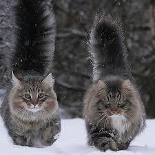 He looked like the one on the left.