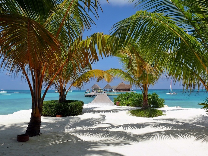 Where would you rather go for your honeymoon, to Bora Bora or the Maldives?