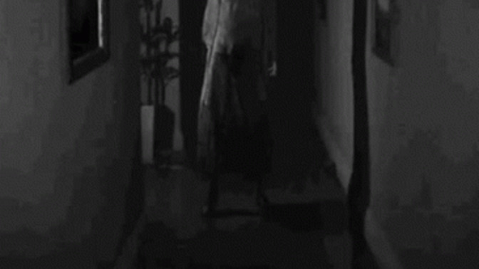 Sooo... I woke up and was on my way to the bathroom when I saw this. What to do?