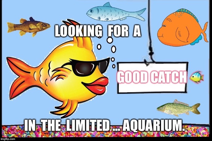 Why would you be a good catch?