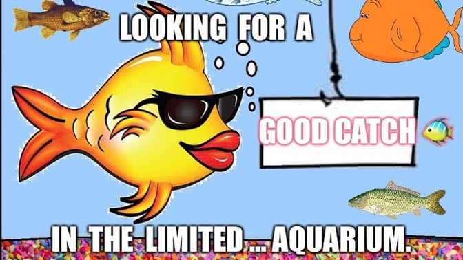 Why would you be a good catch?