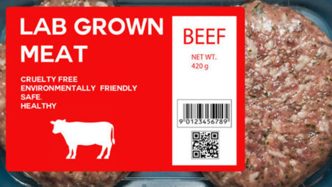 The FDA has approved of the sell in the U. S. A. of lab grown meat. Would you buy and eat lab grown meat, why, why not?