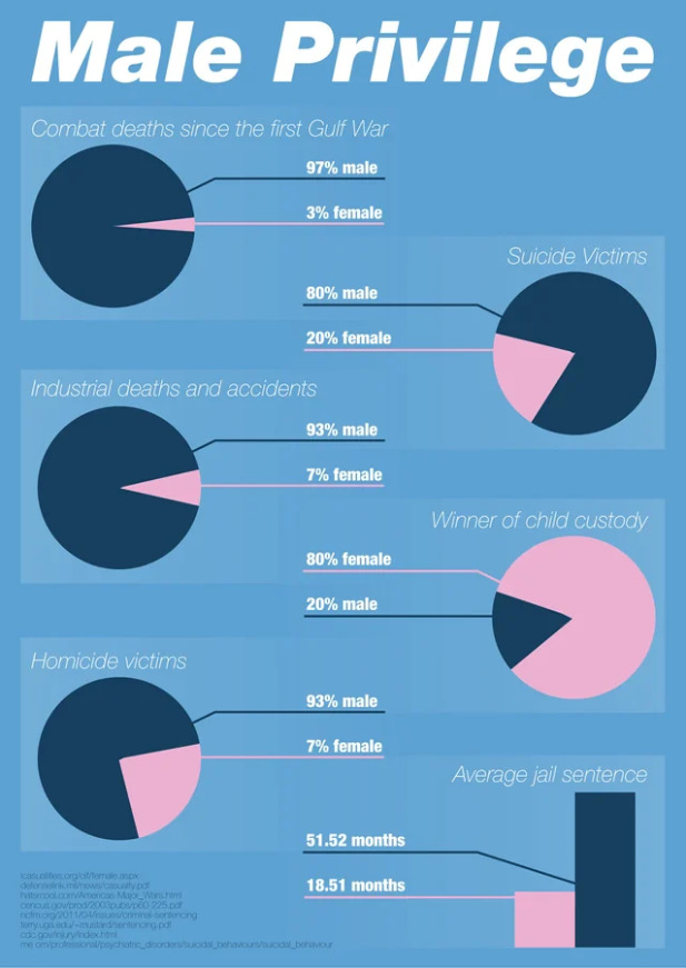 debunking feminist propaganda of male privilege