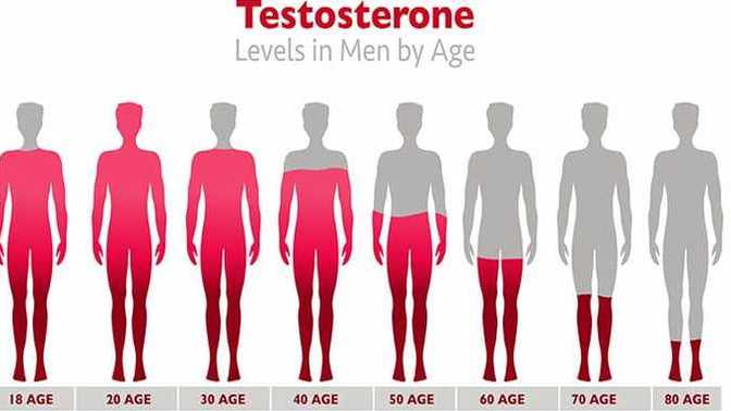 Why are young men so obsessed with their Testosterone levels?