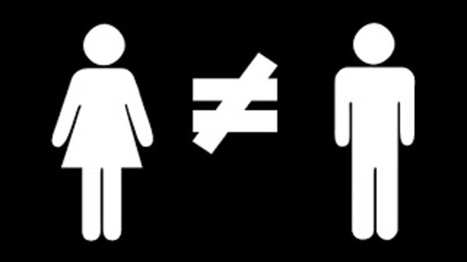 What do people mean when they say "men and women aren't equal"?
