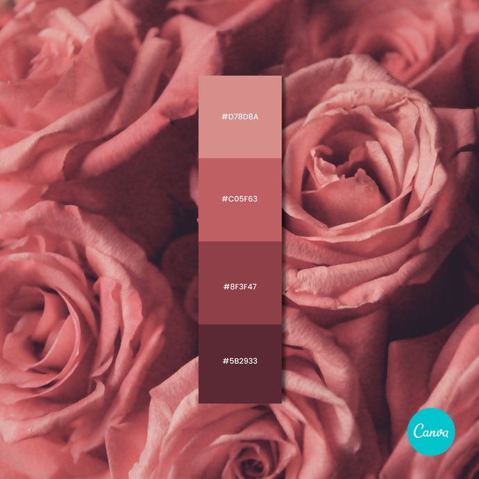 old rose color