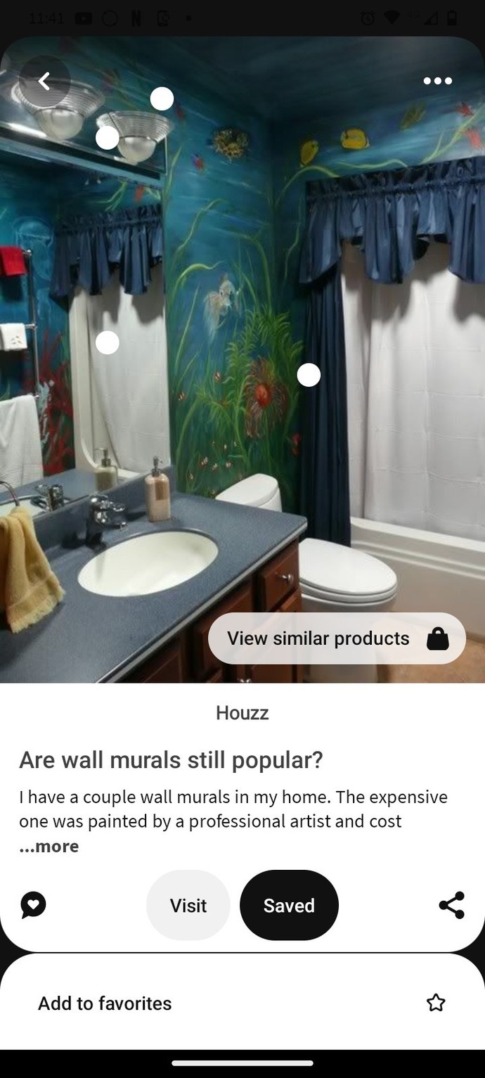 Has anyone ever done any wall murals?