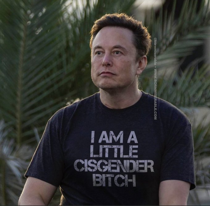 Who would win in a fight? FB or Tesla guy?